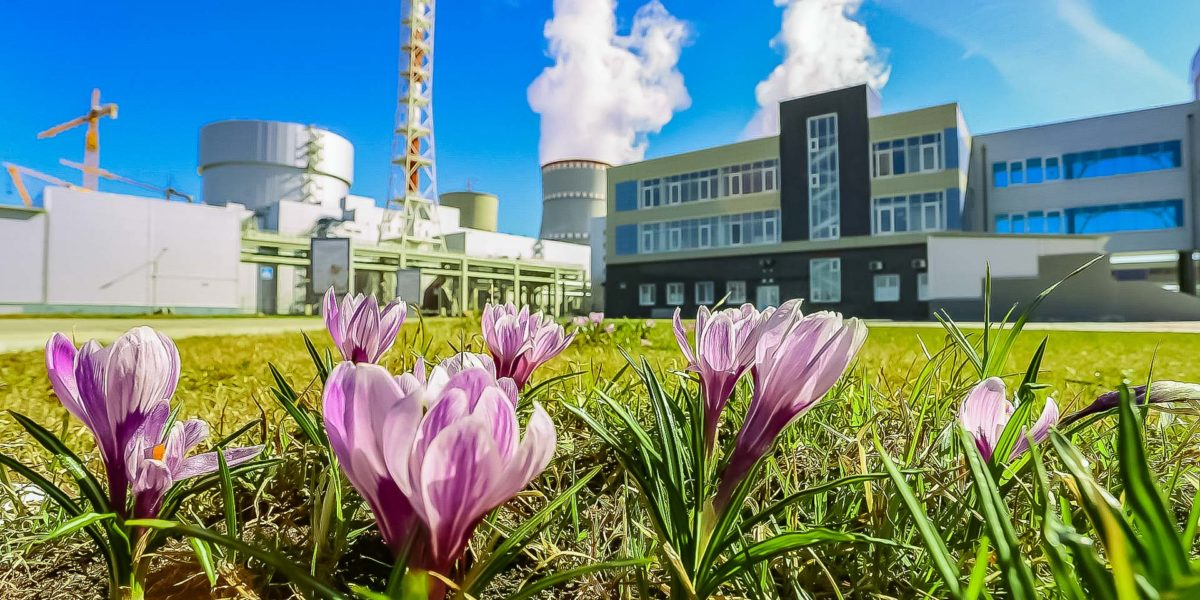 (источник: strana-rosatom.ru)