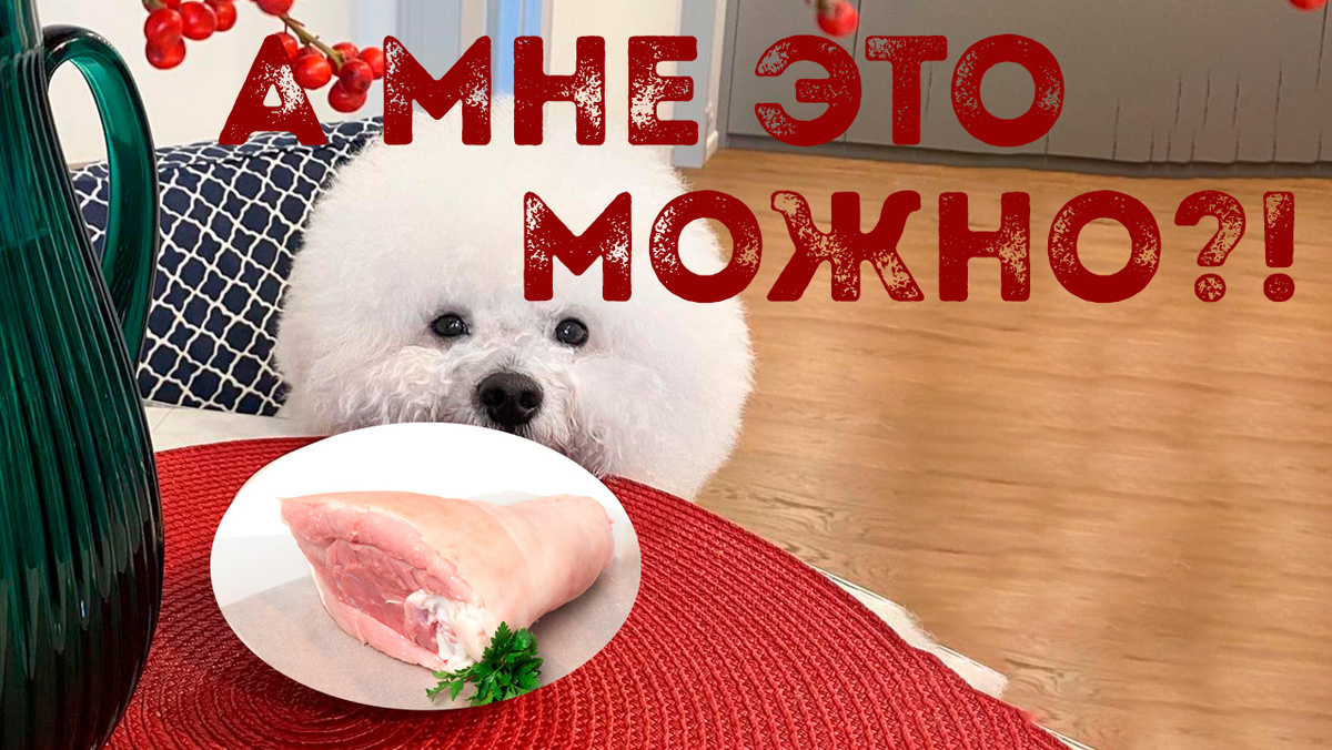 Фотография из интернета