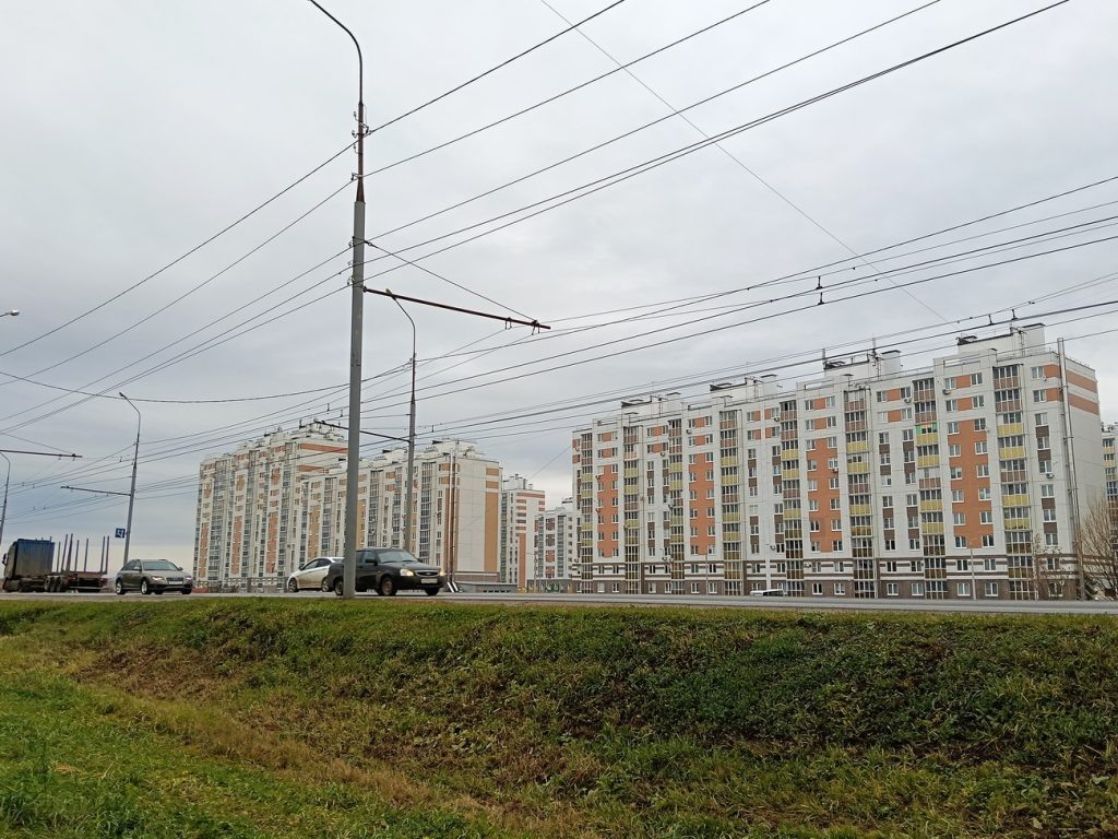   Анастасия Петрова