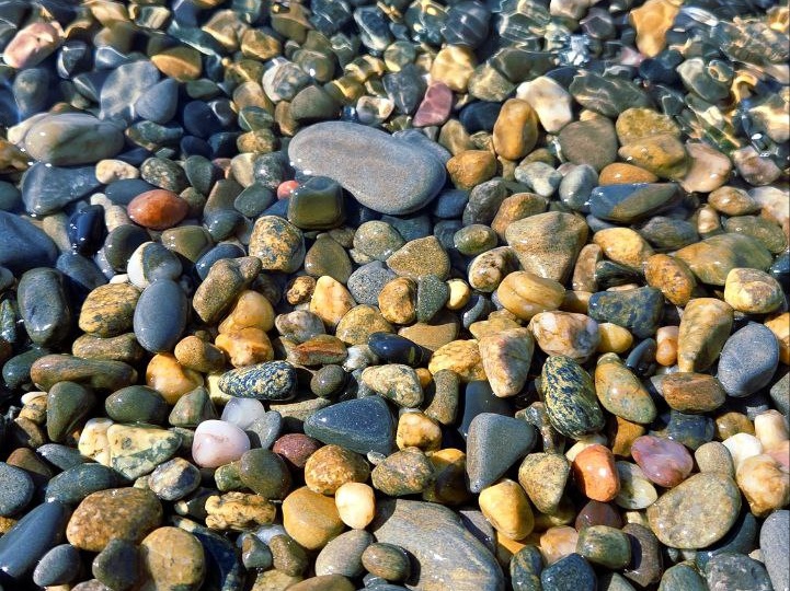 ПИКНИК, КОТОРЫЙ НЕ ПЛАНИРОВАЛИ