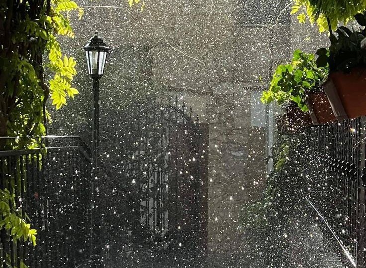 Тополиный пух летит в дом? Почему обычная москитная сетка не справляется — и что действительно помогает