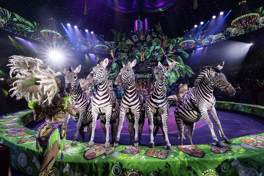 Фото из открытых источников.