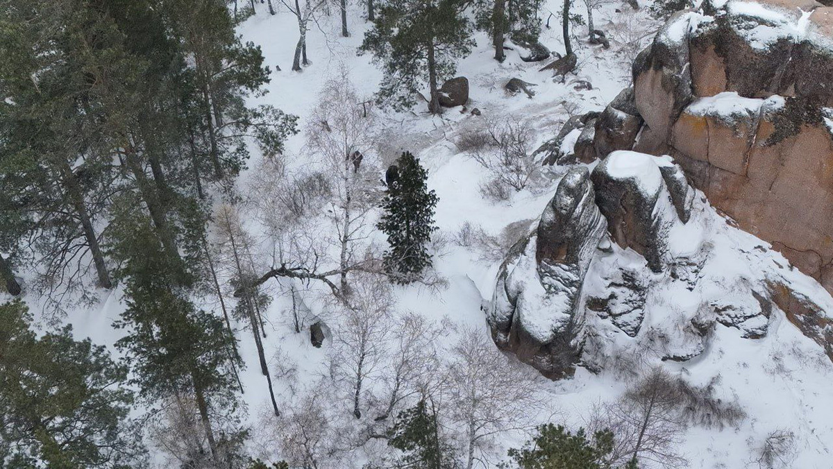   @lizaalert24krsk / Telegram