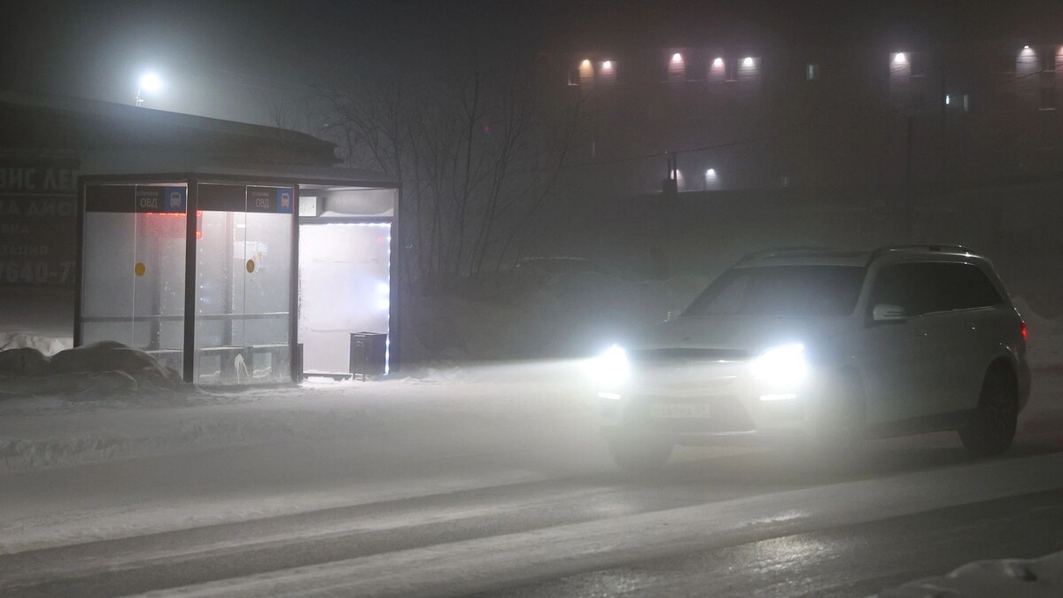    Фото: Андрей Ткачев / «Ямал-Медиа»
