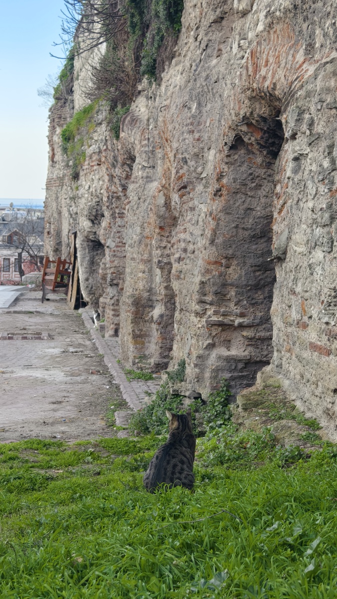 По пути в цистерну, прям напротив магазина ковров фото для ориентира