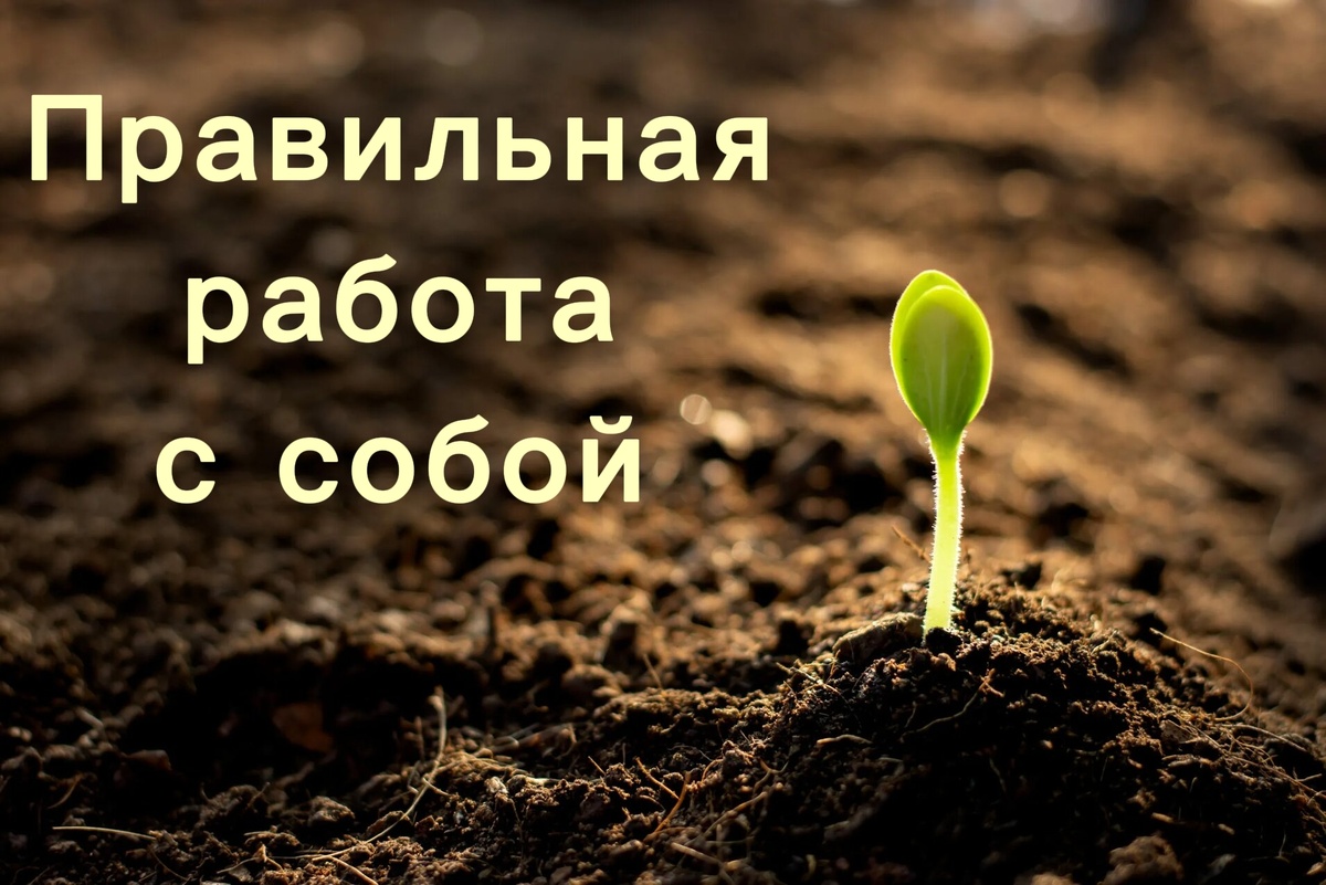 Источник Яндекс.Картинки