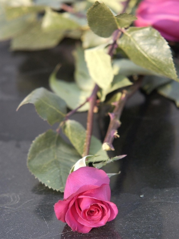   Геннадий Черкасов