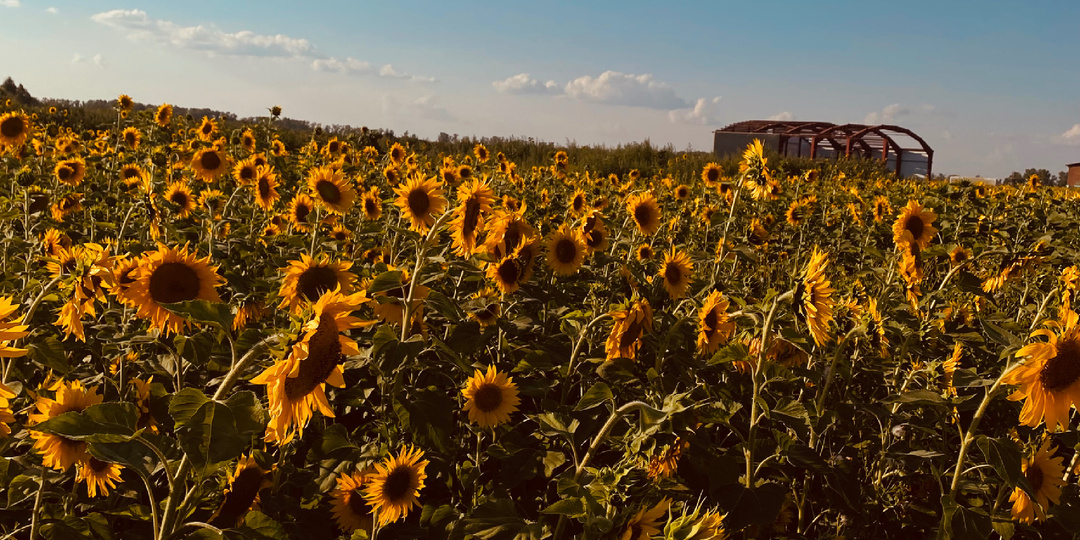Туры выходного дня,что это такое?