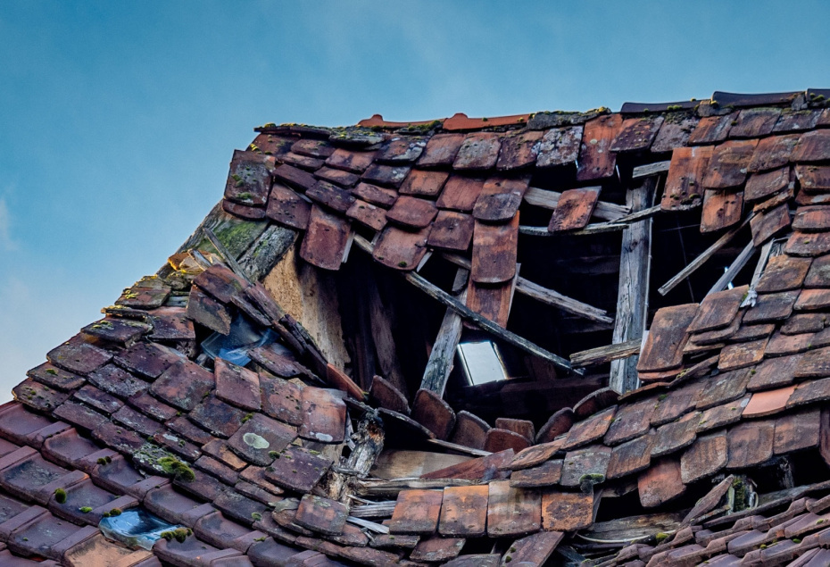    Shutterstock/FOTODOM