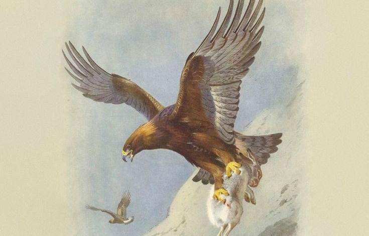     Арчибальд Торбёрн. Кречет (фрагмент). До 1935    
undefined