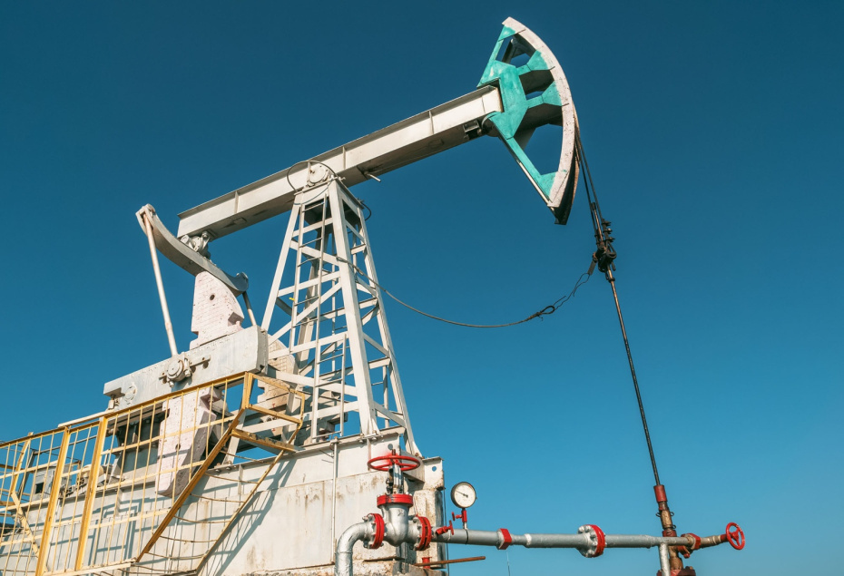    Shutterstock/FOTODOM