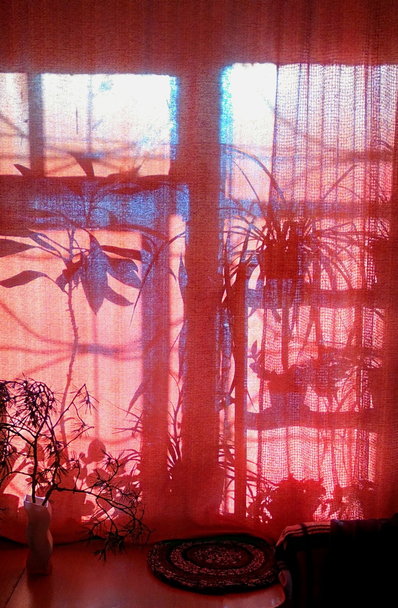 Гардинная графика🎨