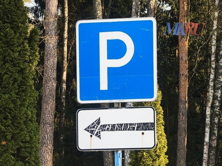     Фото: «МК в Калуге».