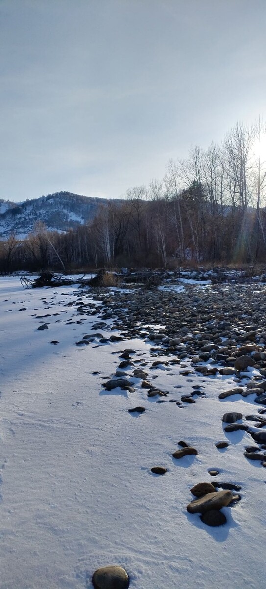    Уловы рыбаков Алтайского края. Источник: Алтайское рыболовное сообщество