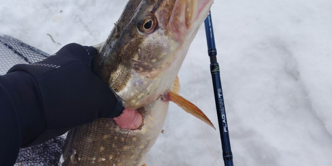 Окончание зимнего спиннинга