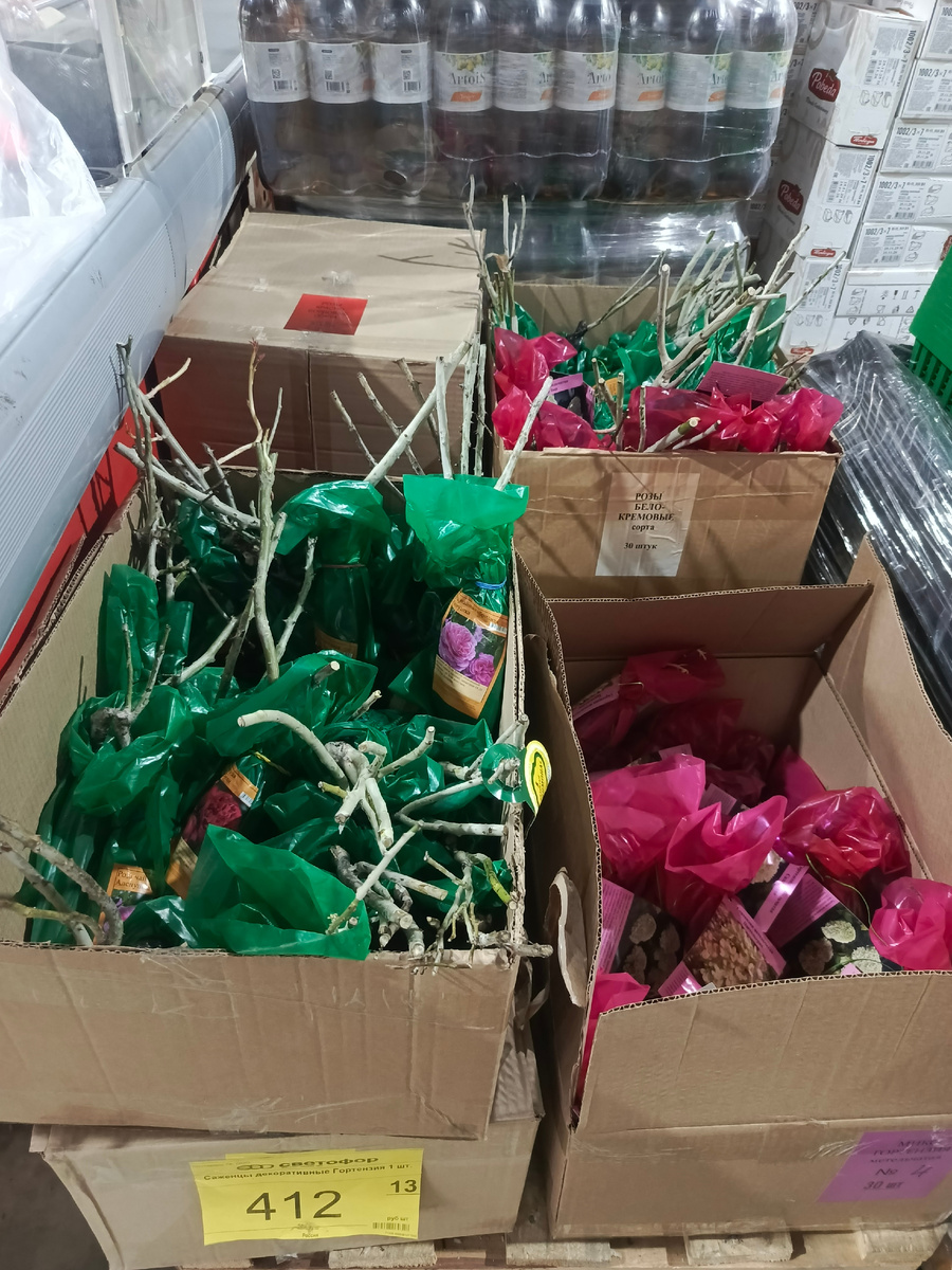 остатки роз и гортензий