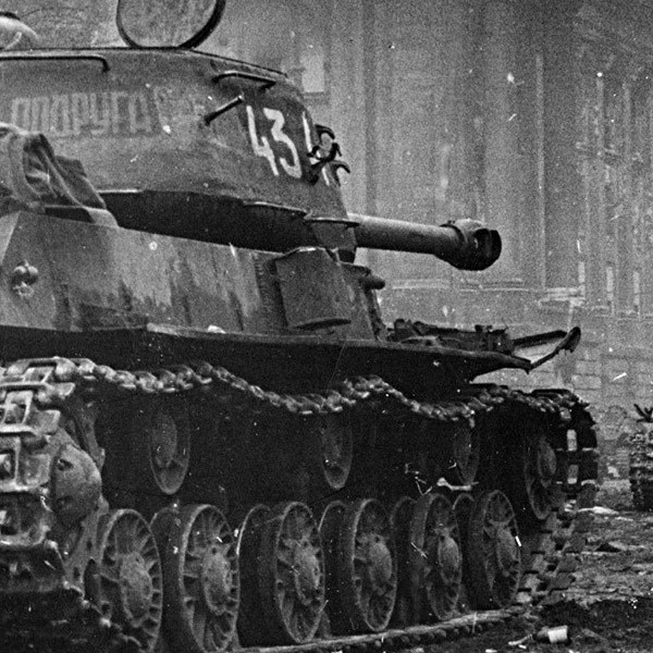 Фотография из открытых источников.