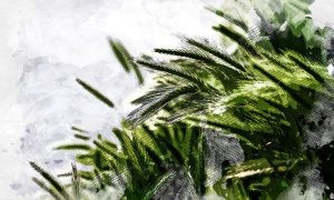 Изображение от pvproductions на Freepik  📷
