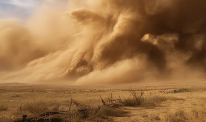    фото: ИИ Редактор