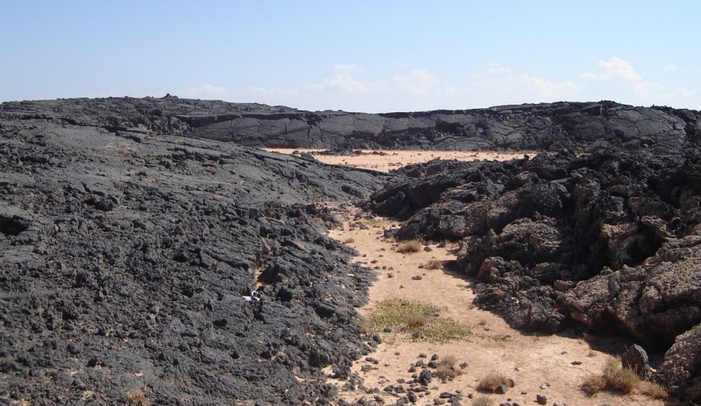 Источник: https://clck.su/oEGCY