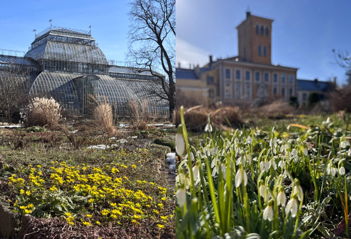 фото: t.me/botsad_spb_official