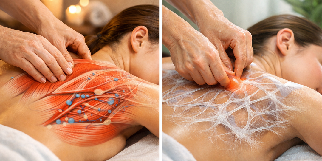 Чем миофасциальный массаж отличается от классического?