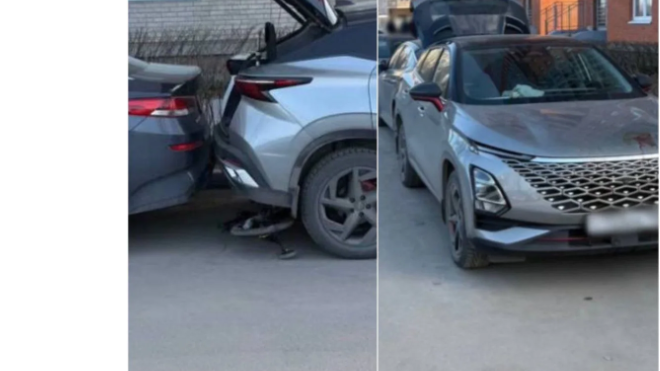 Фото: https://t.me/mashmoyka/24670