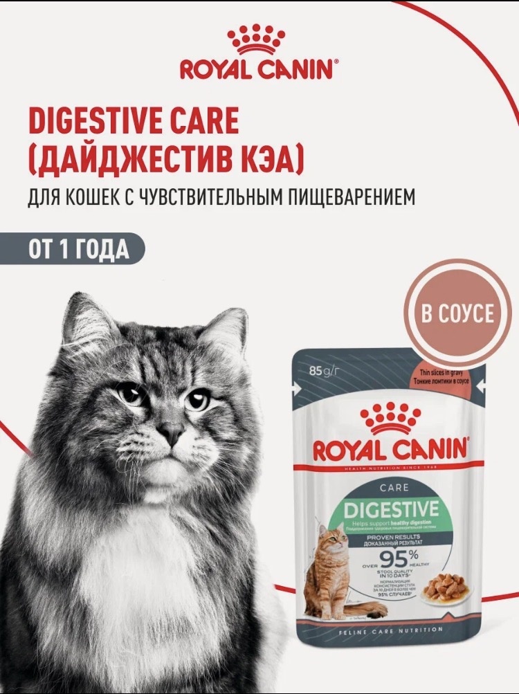 Royal Canin Digestive Care влажный корм для кошек