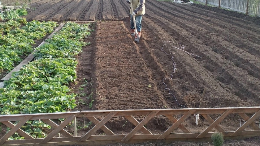    Фото: progorod43.ru