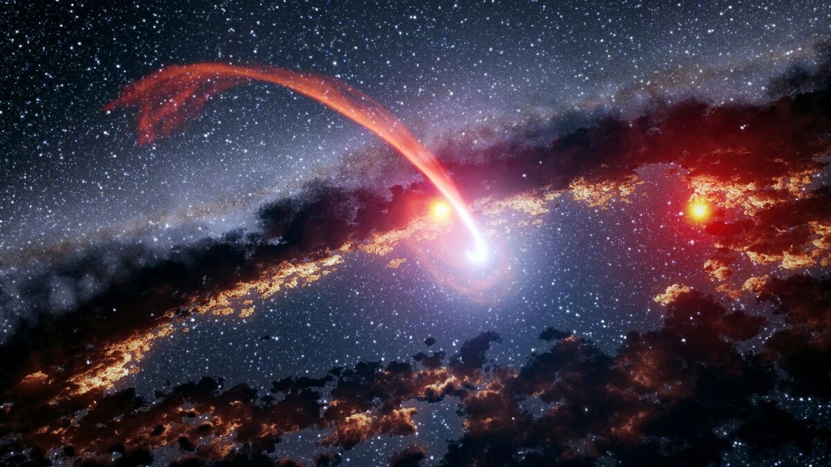    Фото: NikoNomad / shutterstock.com / Fotodom