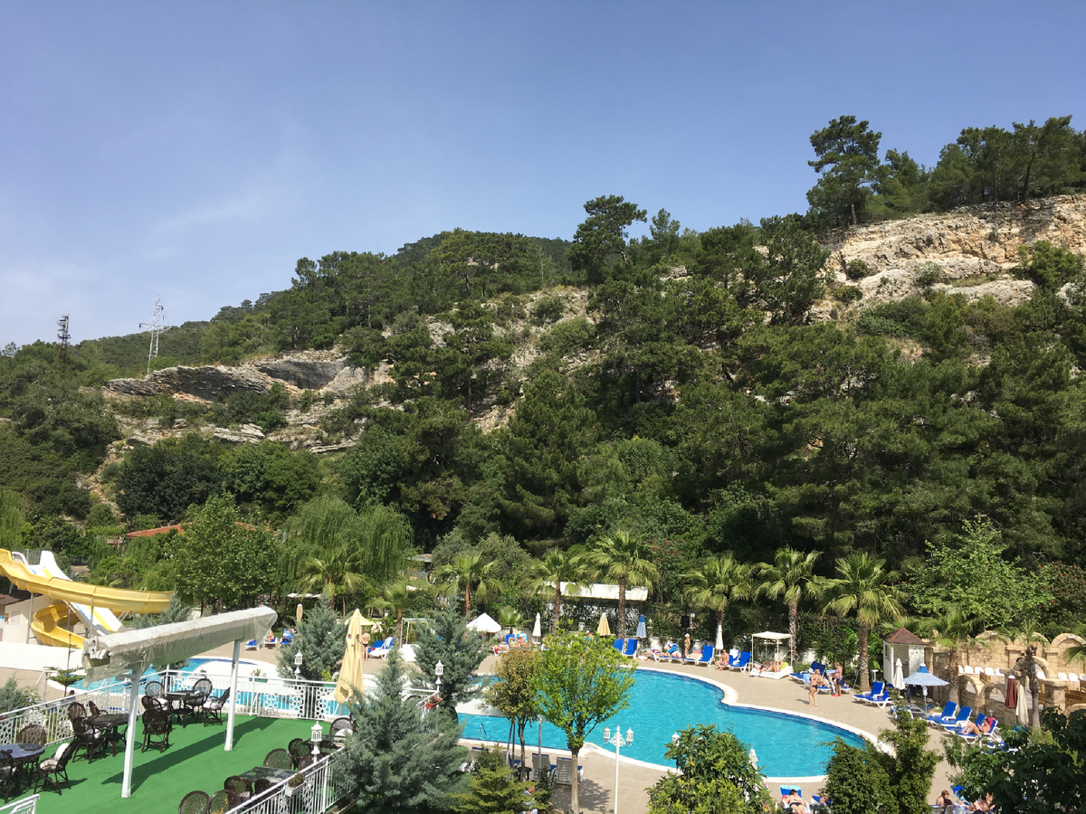 Вид из окна