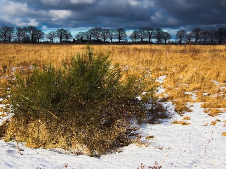     фото: ru.freepik.com