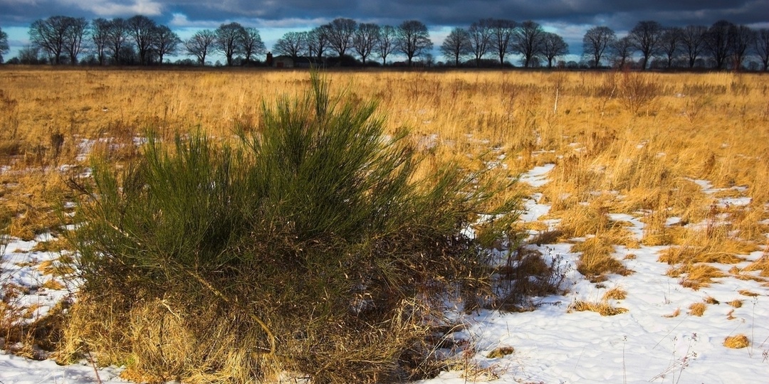 Народные приметы на 16 марта 2026 года: что можно и нельзя делать в Евтропиев день