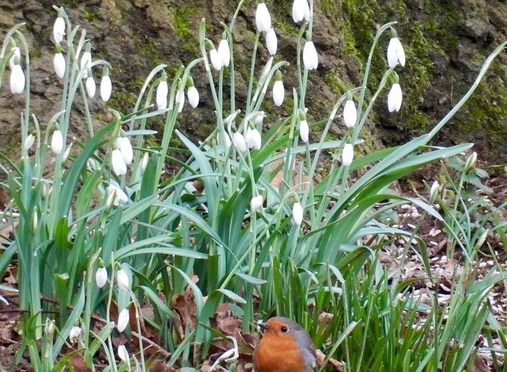 Жизнь на пенсии. Приготовила еды. Приехал сын помогать. Дела деревенские