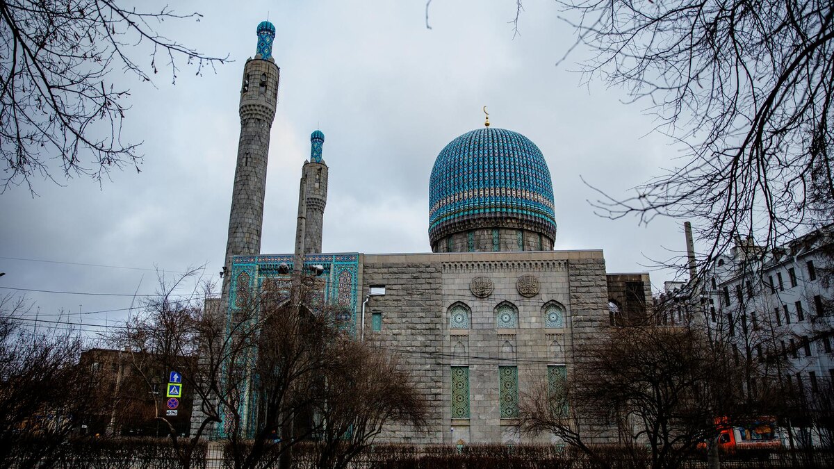    Фото: ИЗВЕСТИЯ/Телеканал «78»