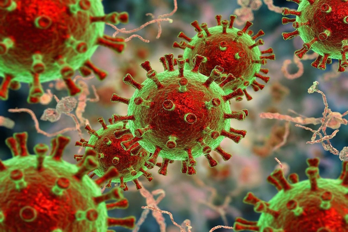    Фото: лайнера Star Princess в Карибском море,