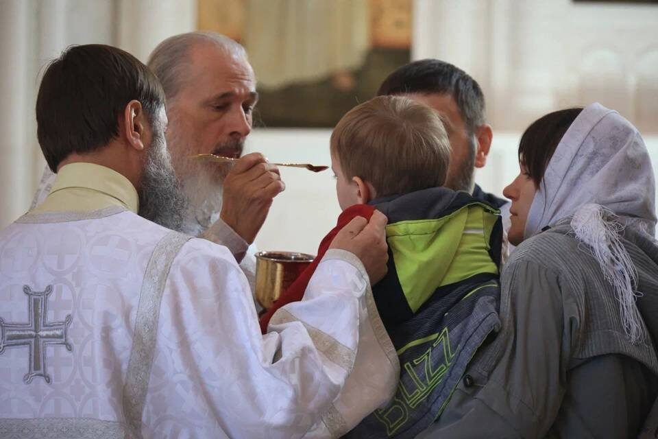    Фото: Дмитрий Рогулин/"Городские вести"