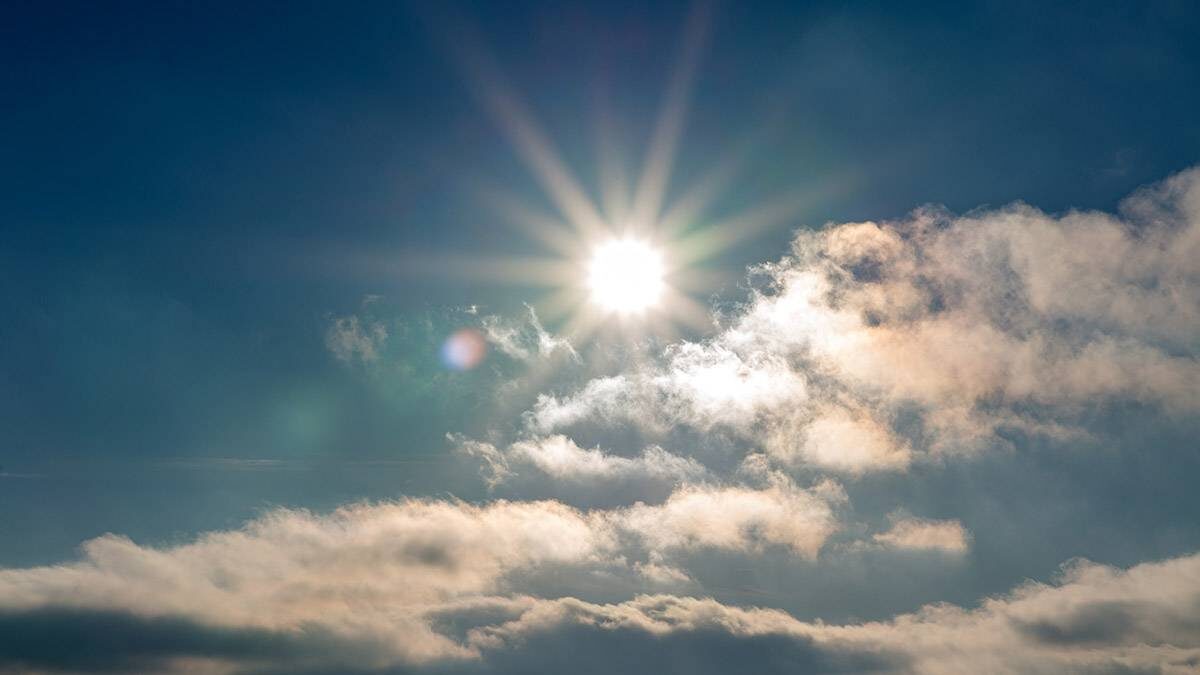    Фото: Shutterstock