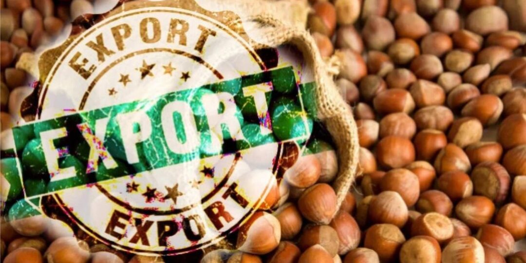 Экспорт фундука из Грузии: февраль 2026 года