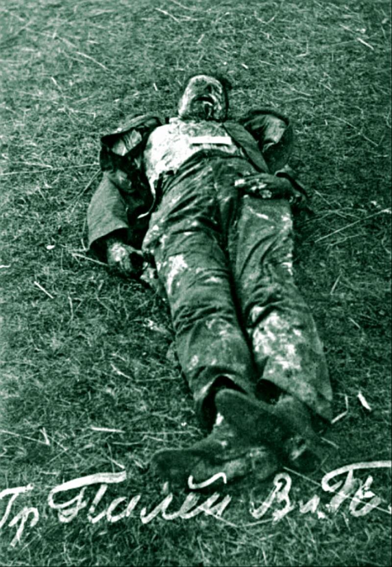 Останки тела, приписываемого князю Владимиру Палею. По версии изложенной в книге это австрийский пленный, служивший в охране Напольной школы, на которого подменили и спасли князя.