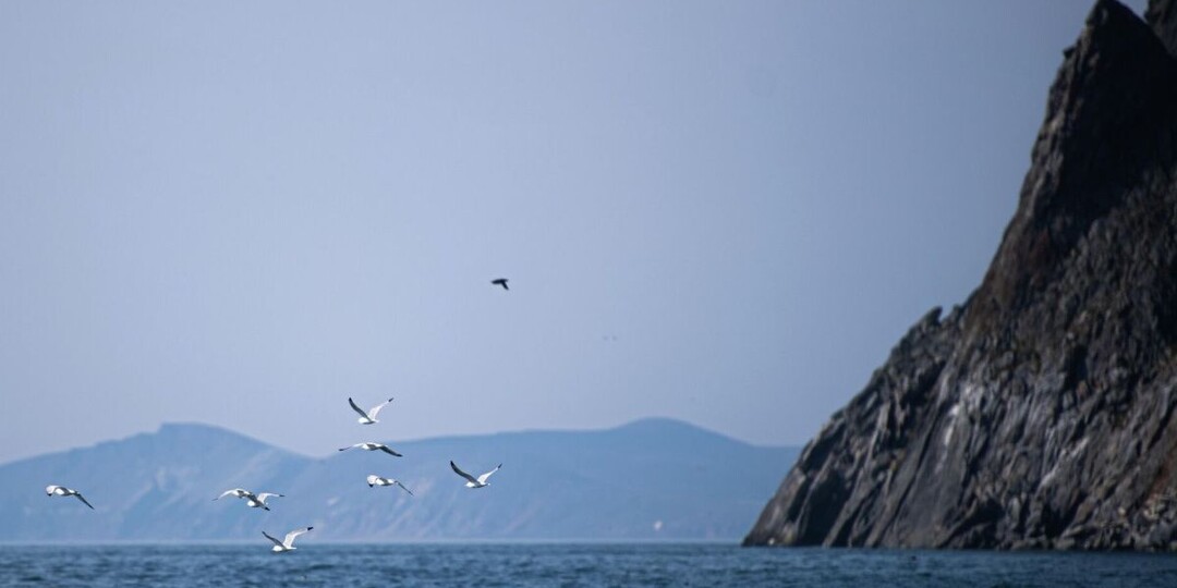 В России назвали регион, где никогда не отключают отопление