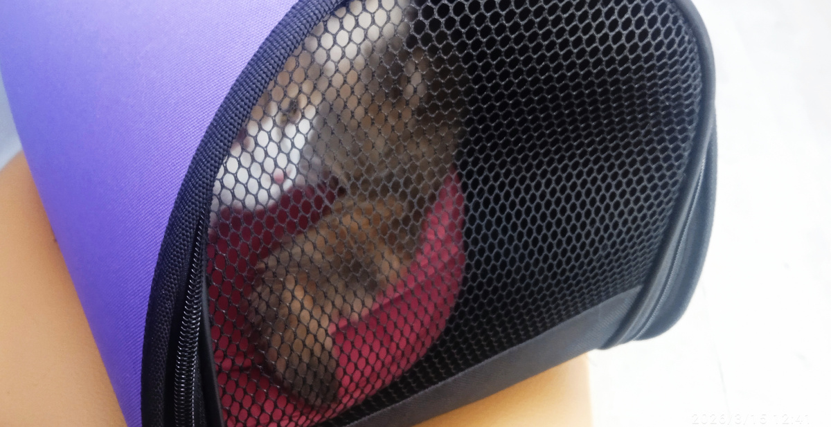 Бубенчик в поликлинике в новой переноске. 