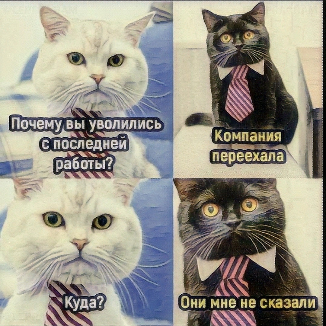 Источник фото: открытый источник в yandex