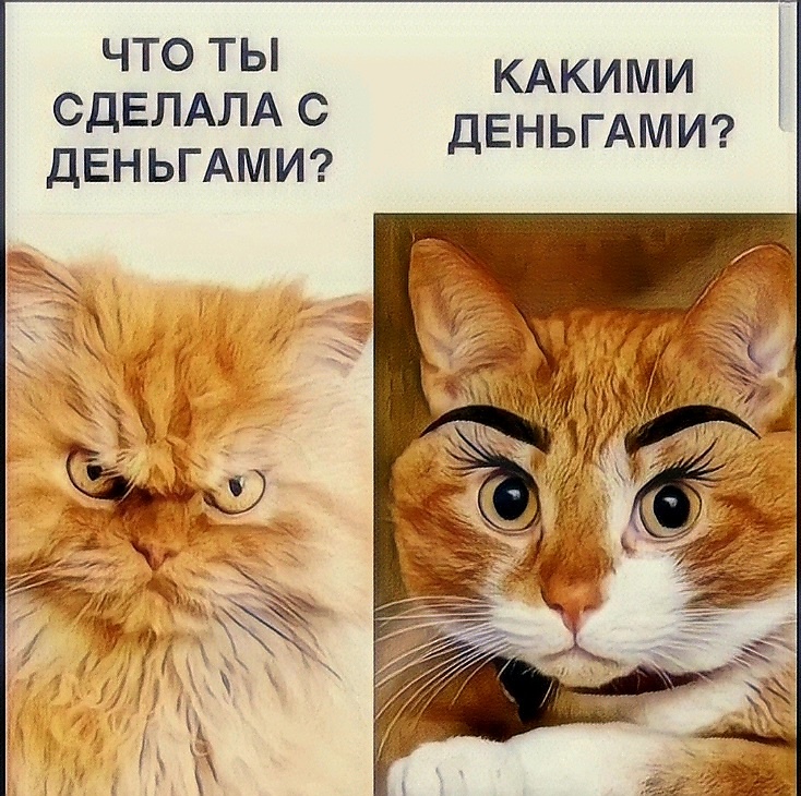 Источник фото: открытый источник в yandex