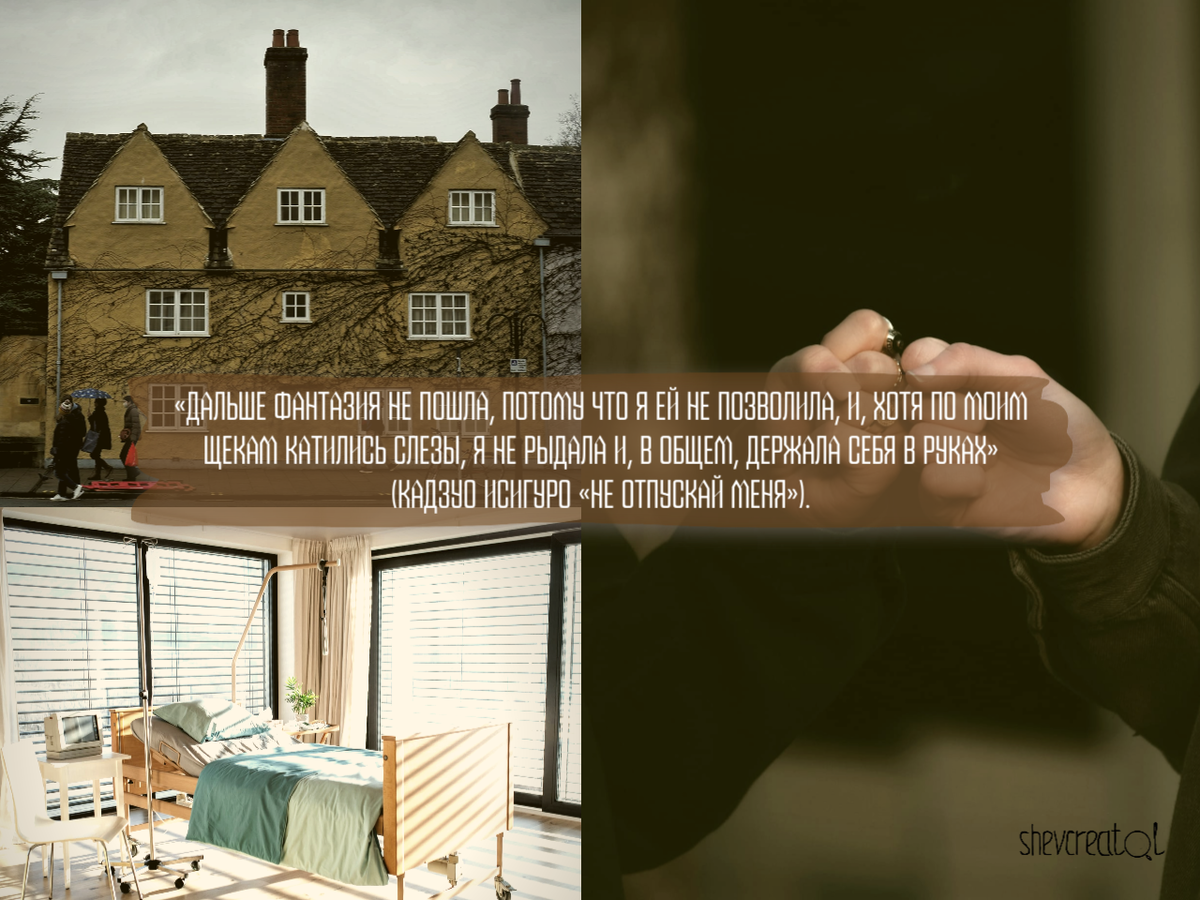 Коллаж автора. Создан в графическом редакторе SUPA.