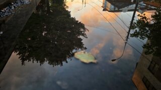    Элина Болдырева Юлия Виноградова