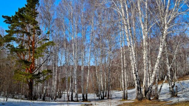 Сегодня опять обновился температурный рекорд