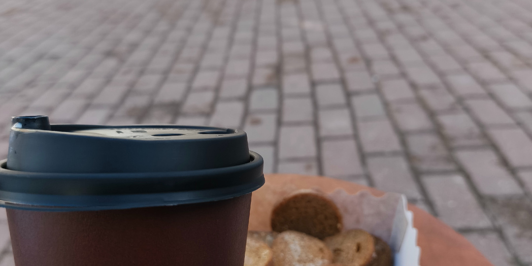 Заказали инвалидную коляску для прогулок на улице