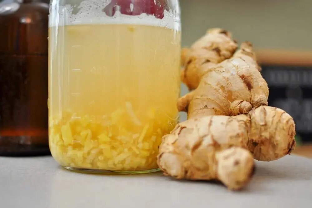 Имбирный баг и его главный ингредиент — свежий корень имбиря