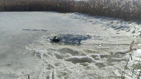    © Telegram / ОСВОД / Гомельская область